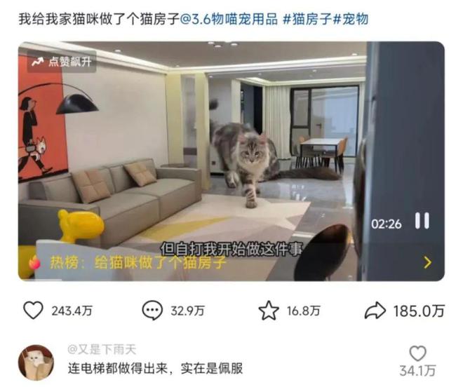 猫咪都买房了？2269万人围观猫咪版商品房家电、家具样样都不缺！网友：千万别让我家猫看到！(图8)